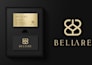 do professional luxury business logo design